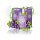 187 Strassenbande Box - Grape (Traube) - E-Shisha - 20 mg - 600 Züge