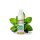 ELFBAR Elfliq - Menthol - Liquid - 10 mg/ml - 10 ml