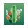 HQD SURV - Cactus (Kaktusfrucht) - Einweg Vape - 18 mg - 600 Züge