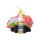 ELFBAR Elfliq - Dragon Fruit Blackberry (Drachenfrucht, Brombeere) - Liquid - 10 mg/ml - 10 ml