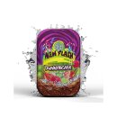 187 Zahnstocher - New Flash (Cola, Lime, Drachenfrucht)...